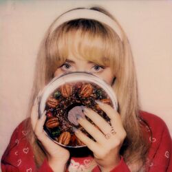 Cover of fruitcake