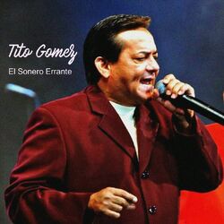 Cover of El Sonero Errante (En Vivo)