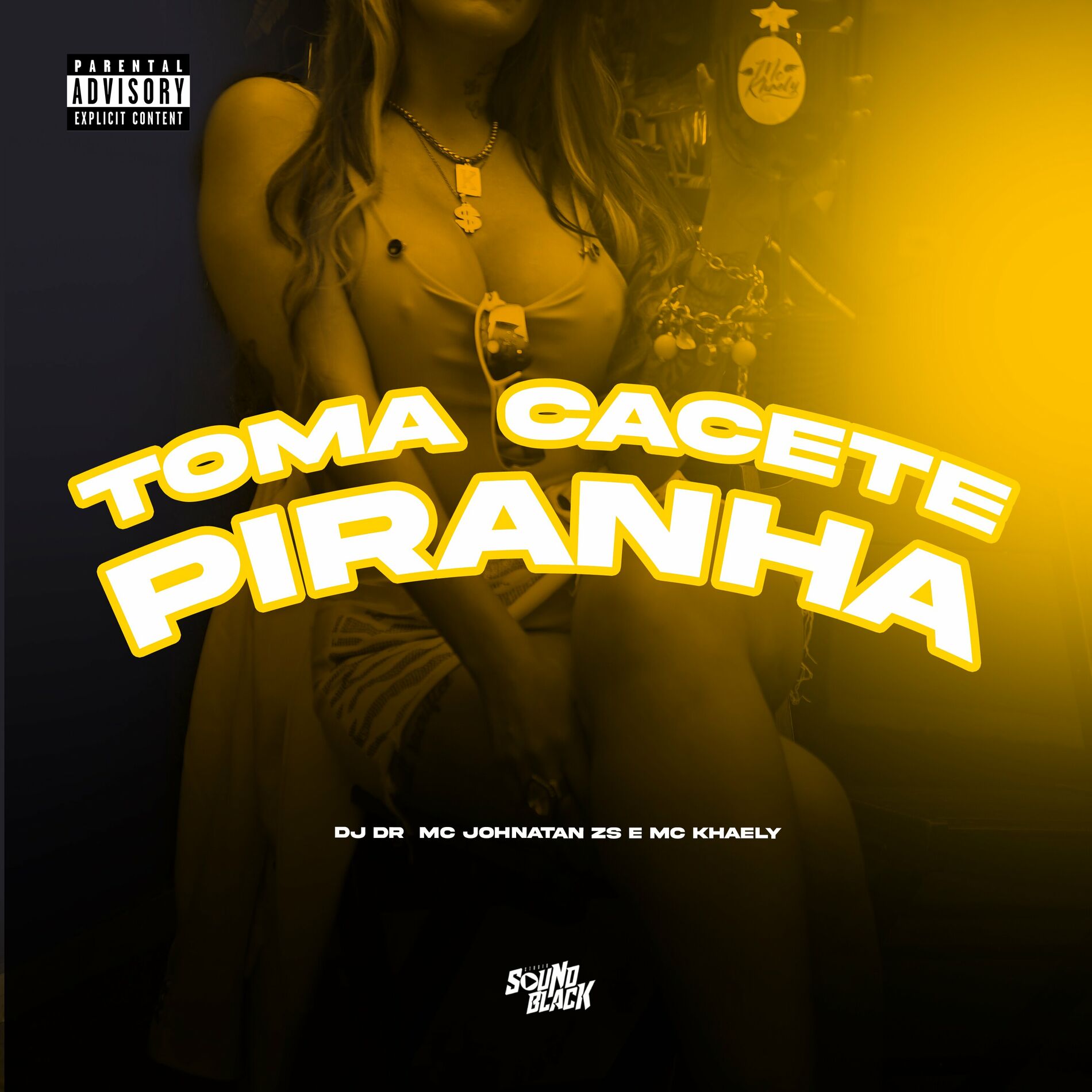 Album cover of Toma Cacete Piranha