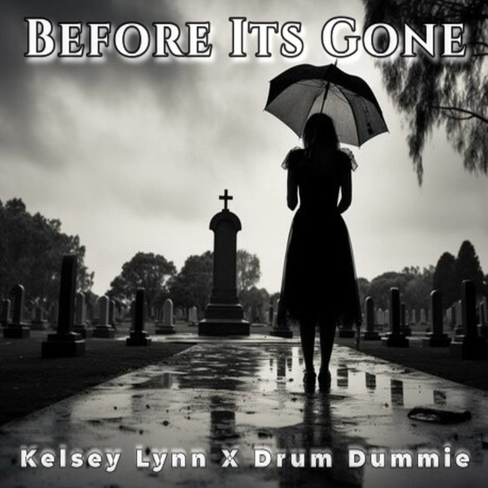 Album cover of Before It's Gone