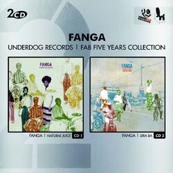 Cover of Fab Five Years (Double Album)