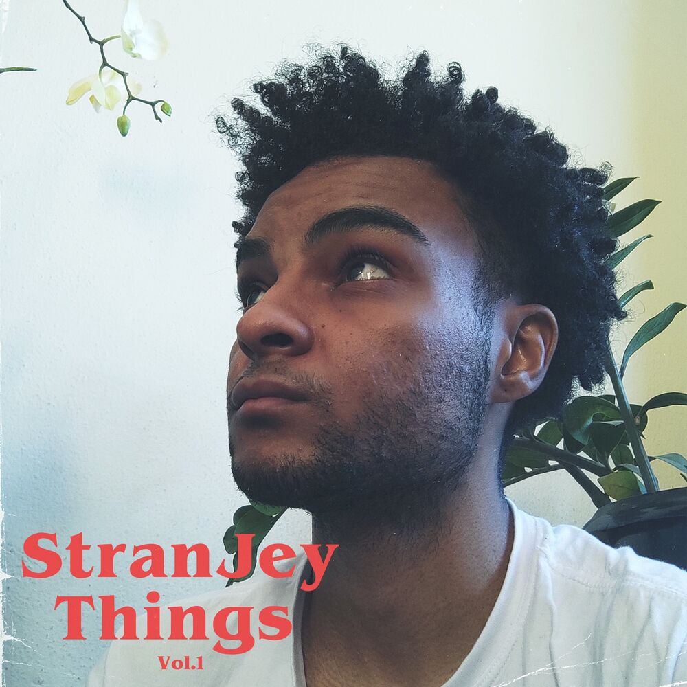 Picture of Stranjey Things, Vol. 1