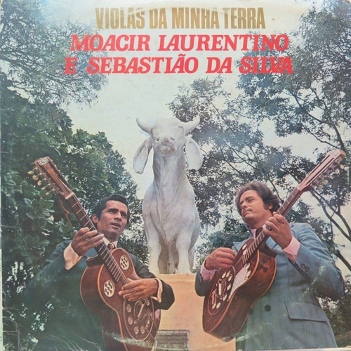 Album cover of Violas da Minha Terra