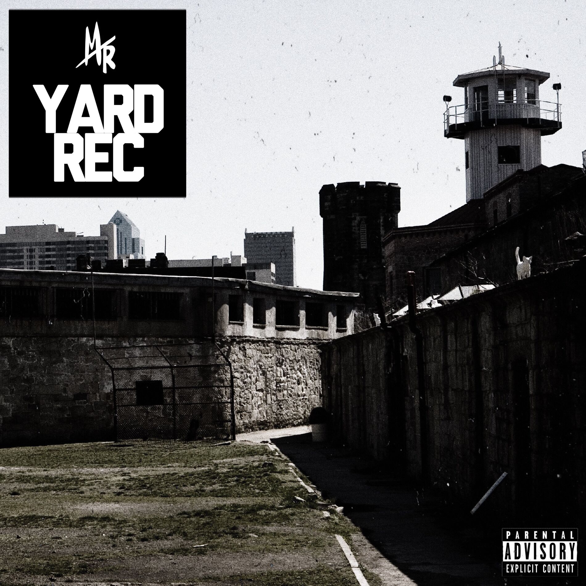 Album cover of Yard Rec