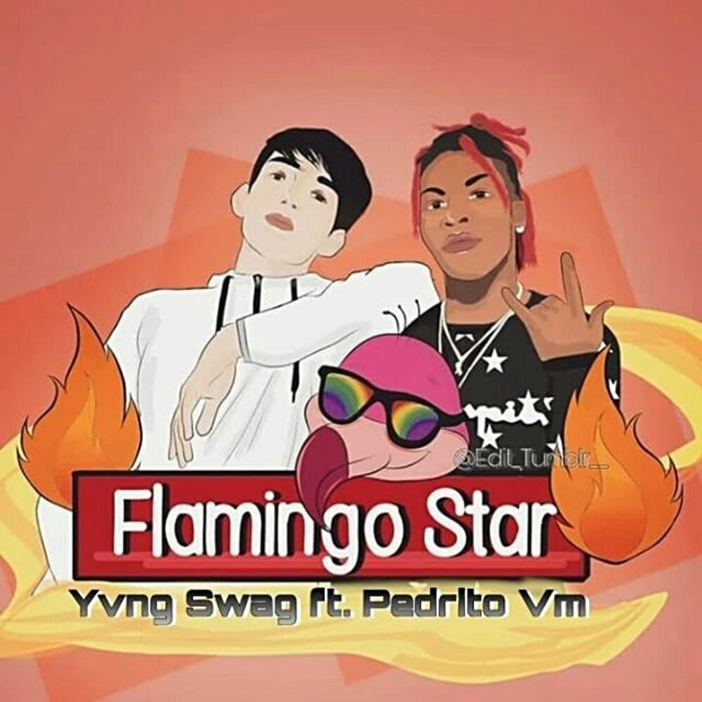 Picture of Flamingo Star