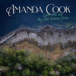 Cover of Look Me Up By the Ocean Door