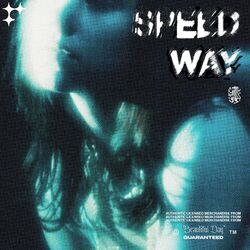Cover of Speedway
