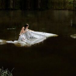 The River