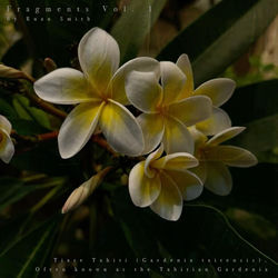 Cover of Fragments, Vol. 1 by undefined