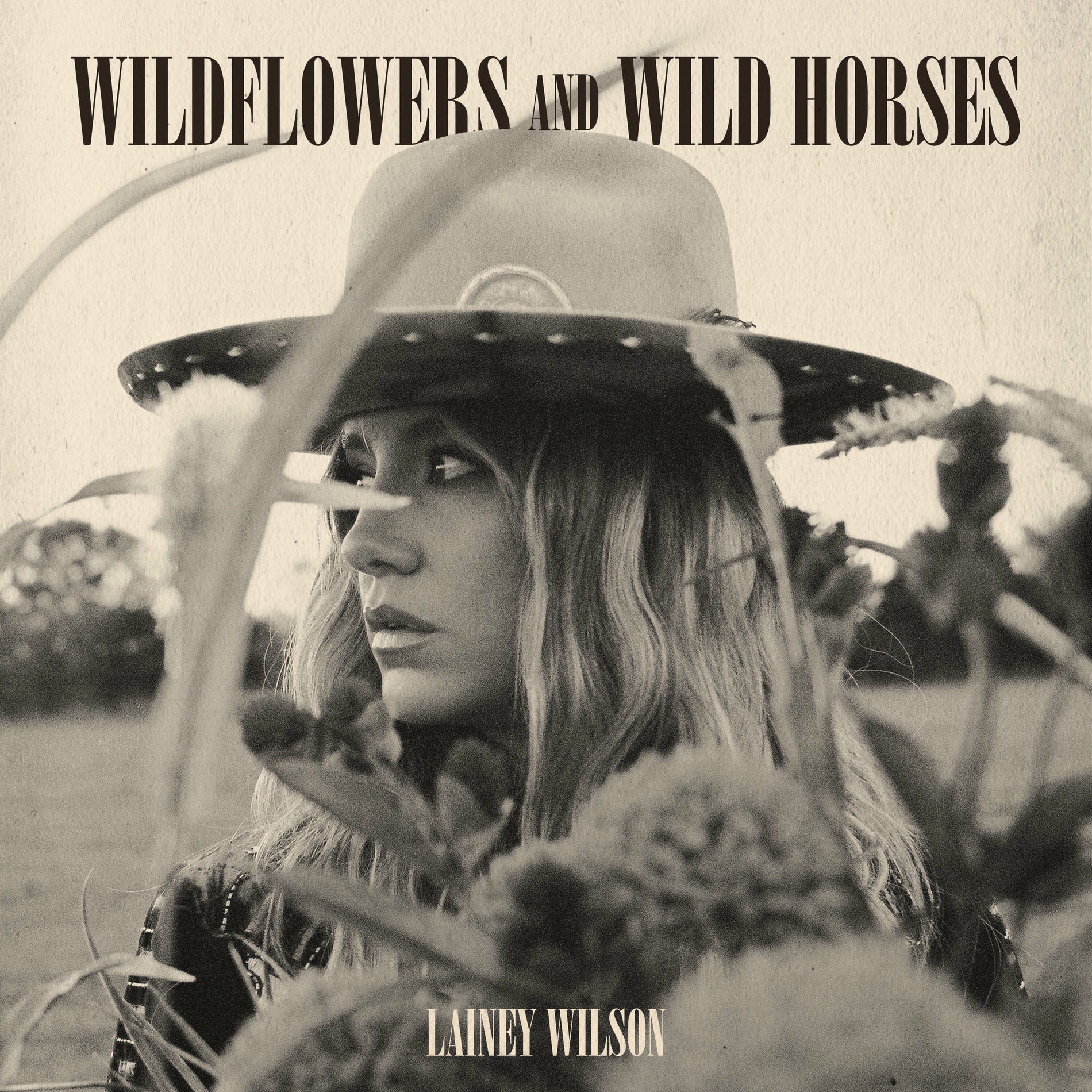 Album cover of Wildflowers and Wild Horses
