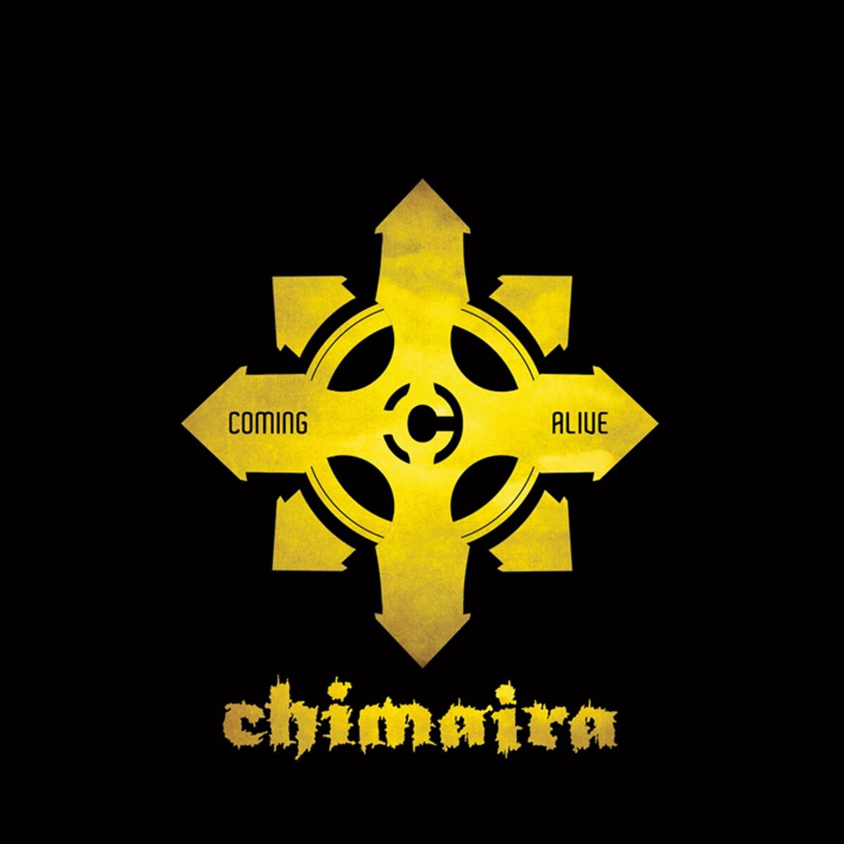 Album cover of Coming Alive (Live)