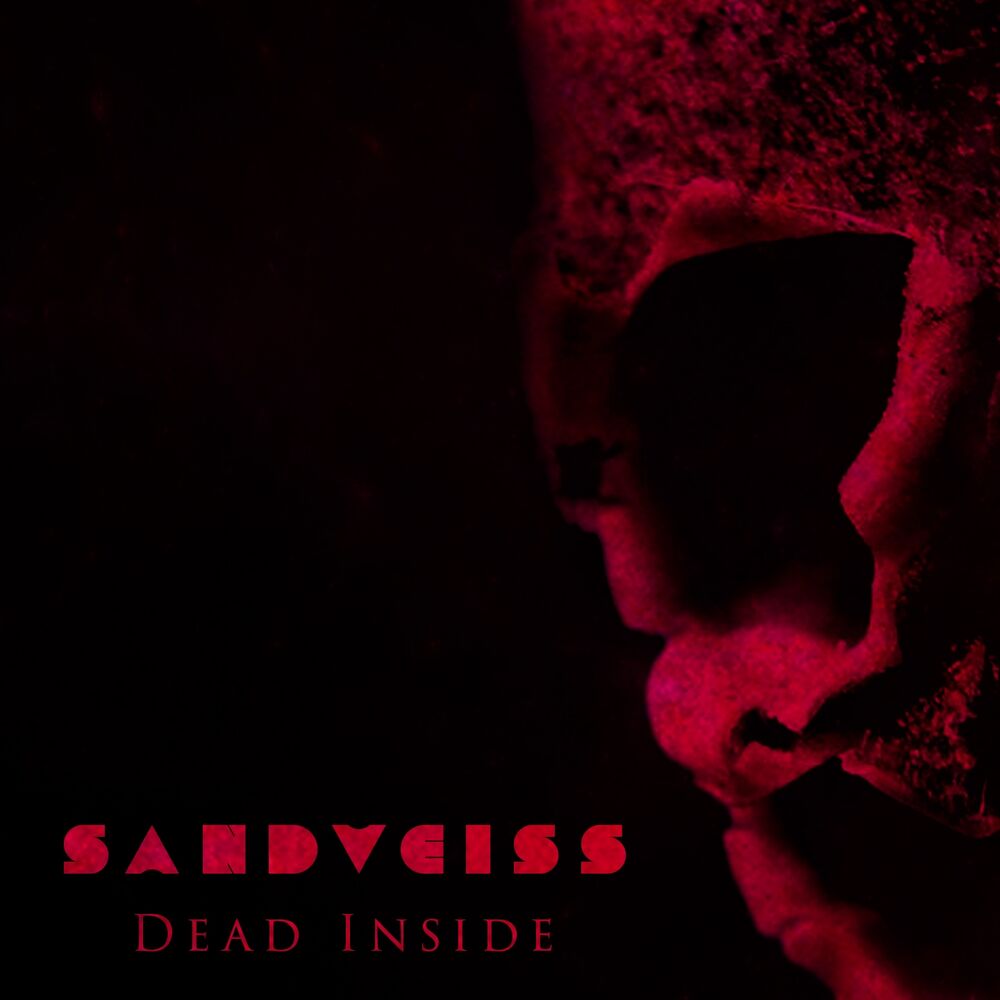 Picture of Dead Inside