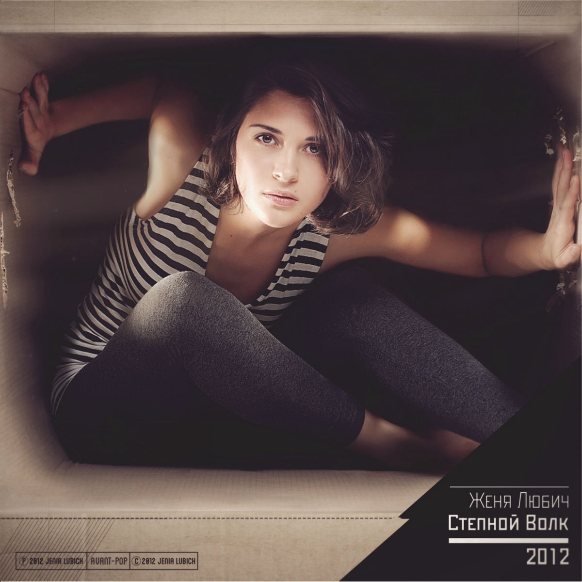 Album cover of Степной волк