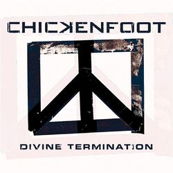Cover of Divine Termination