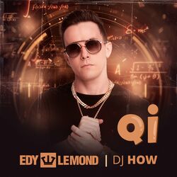 Cover of Qi
