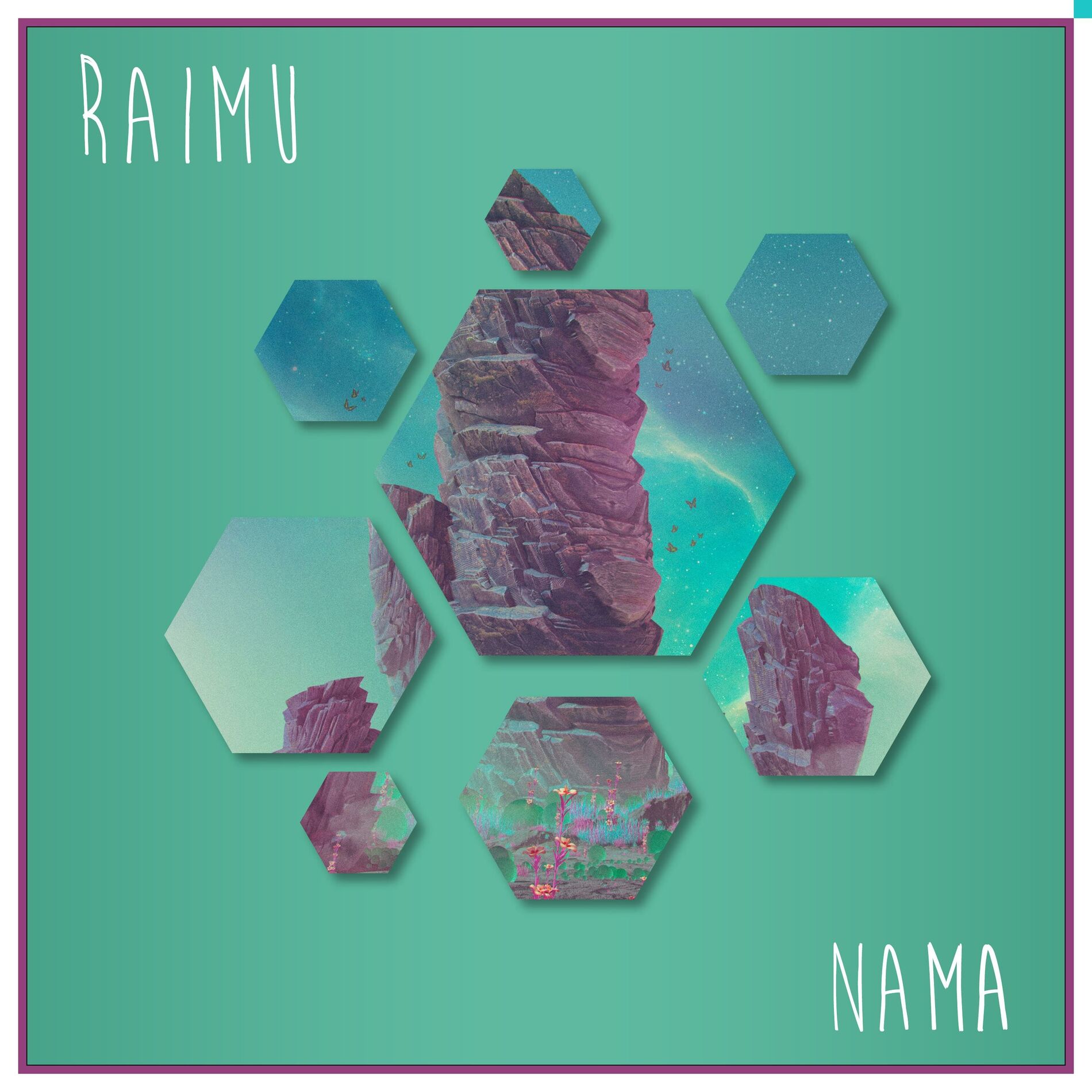 Album cover of Nama