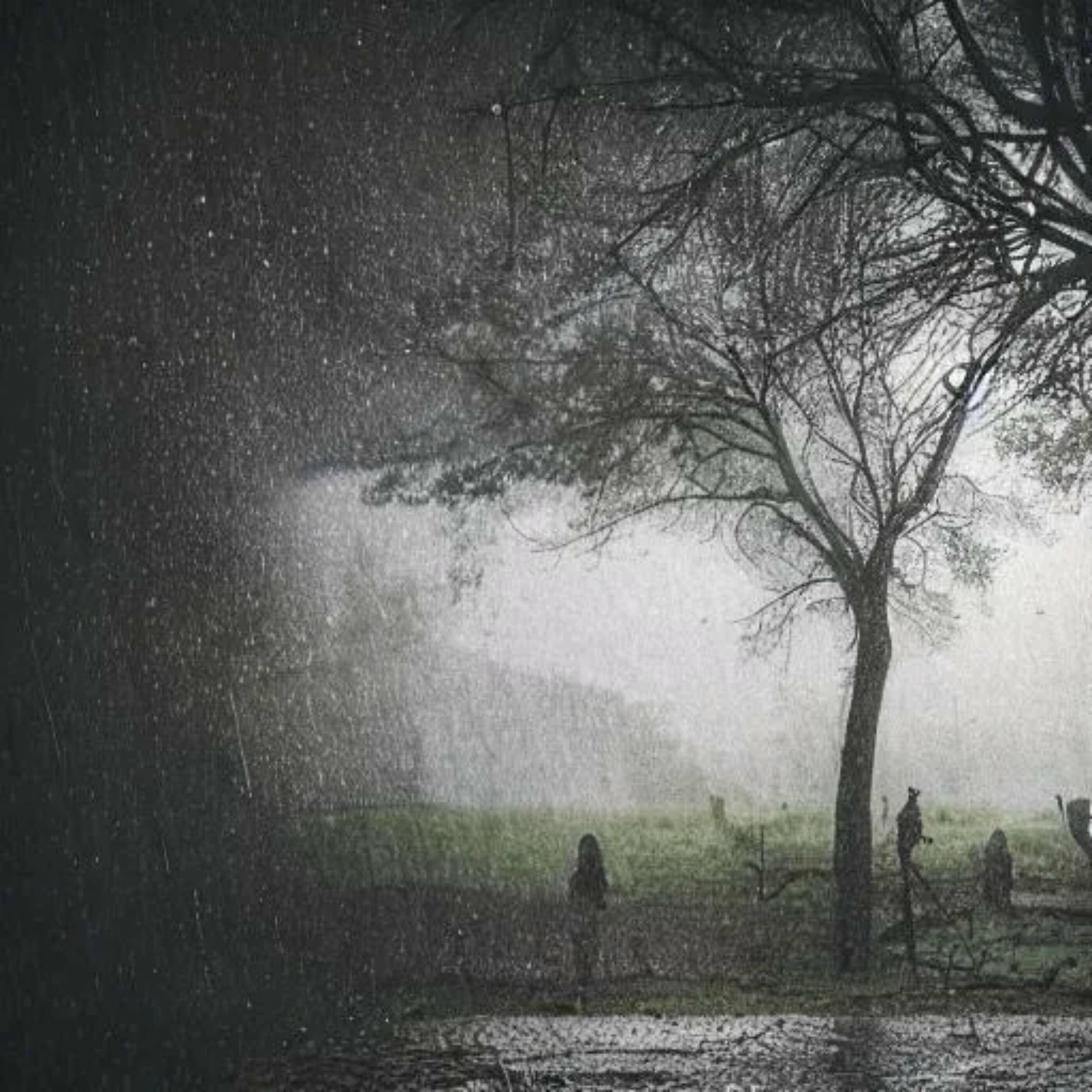 Album cover of Somewhere Else