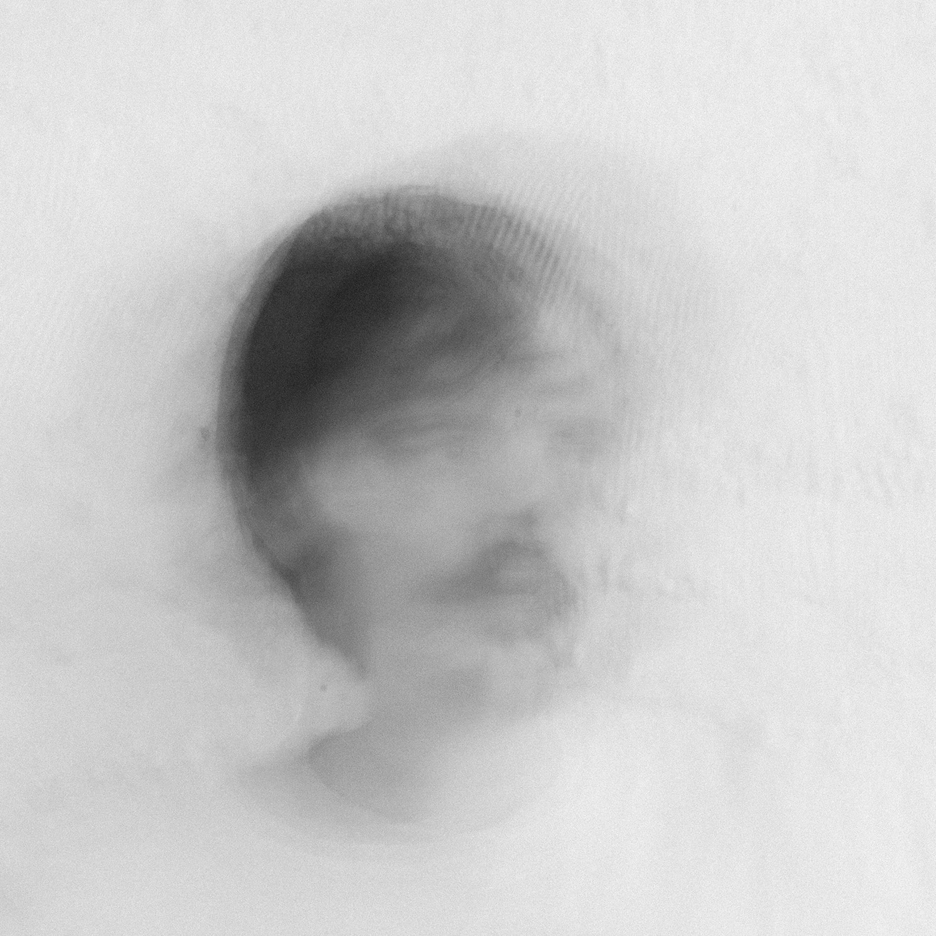 Album cover of Spectrolite