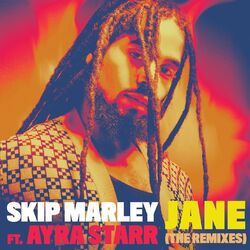 Cover of Jane (The Remixes)