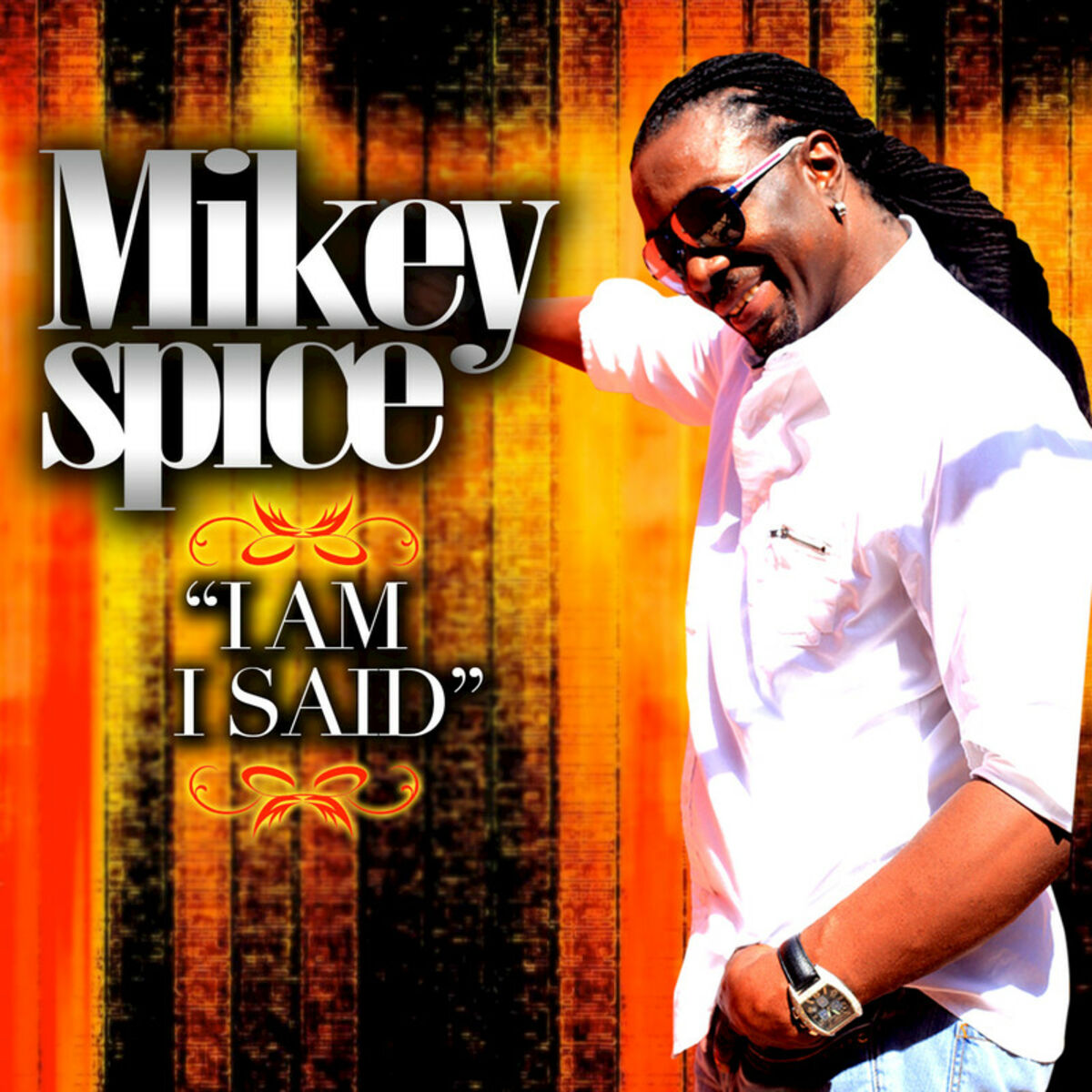 Album cover of I Am I Said