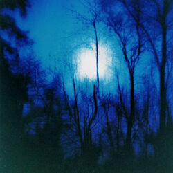 Cover of Further
