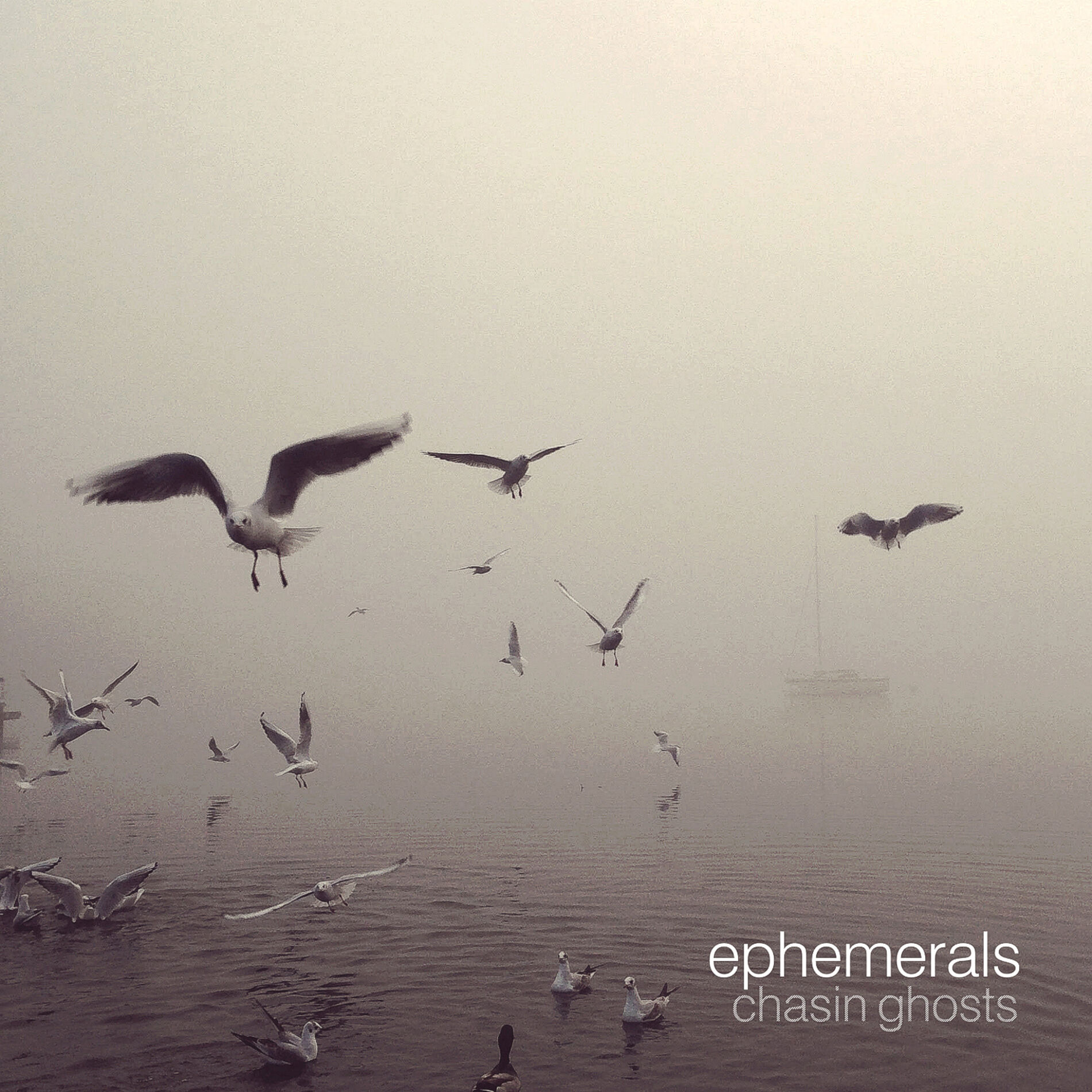 Album cover of Everyday Killers