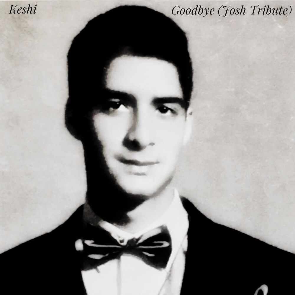 Picture of Goodbye (Josh Tribute) - Single
