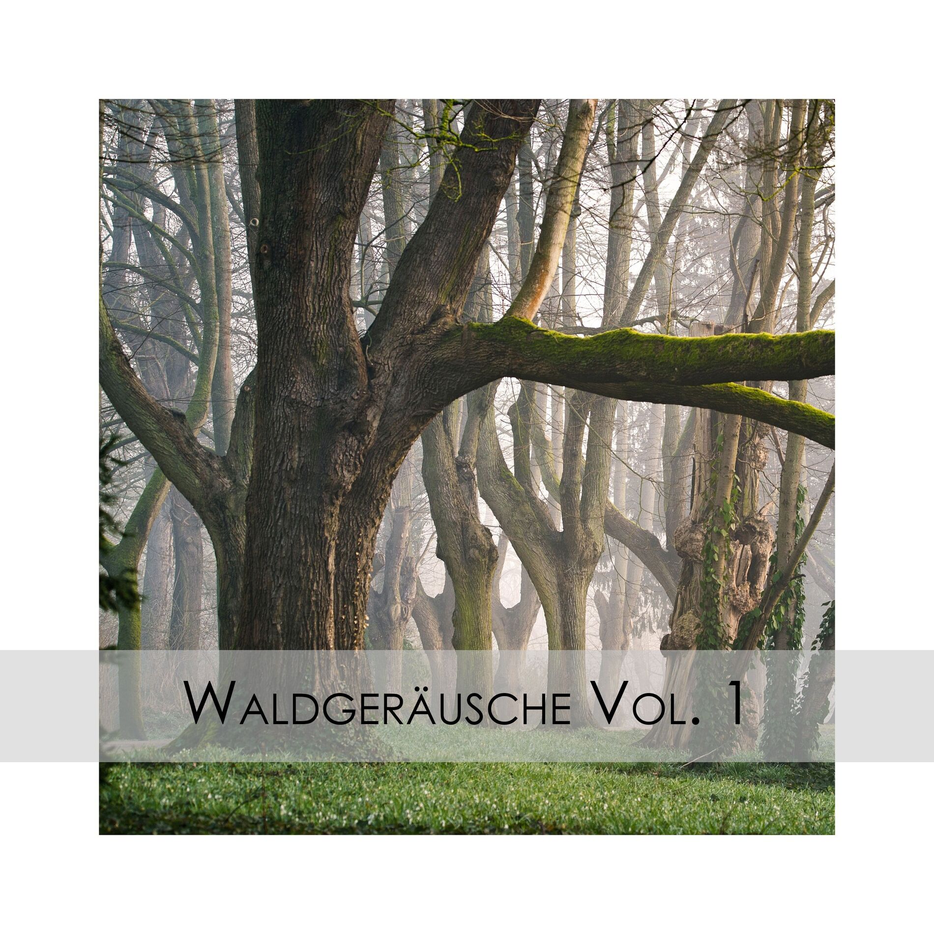 Album cover of Waldgeräusche Vol. 1