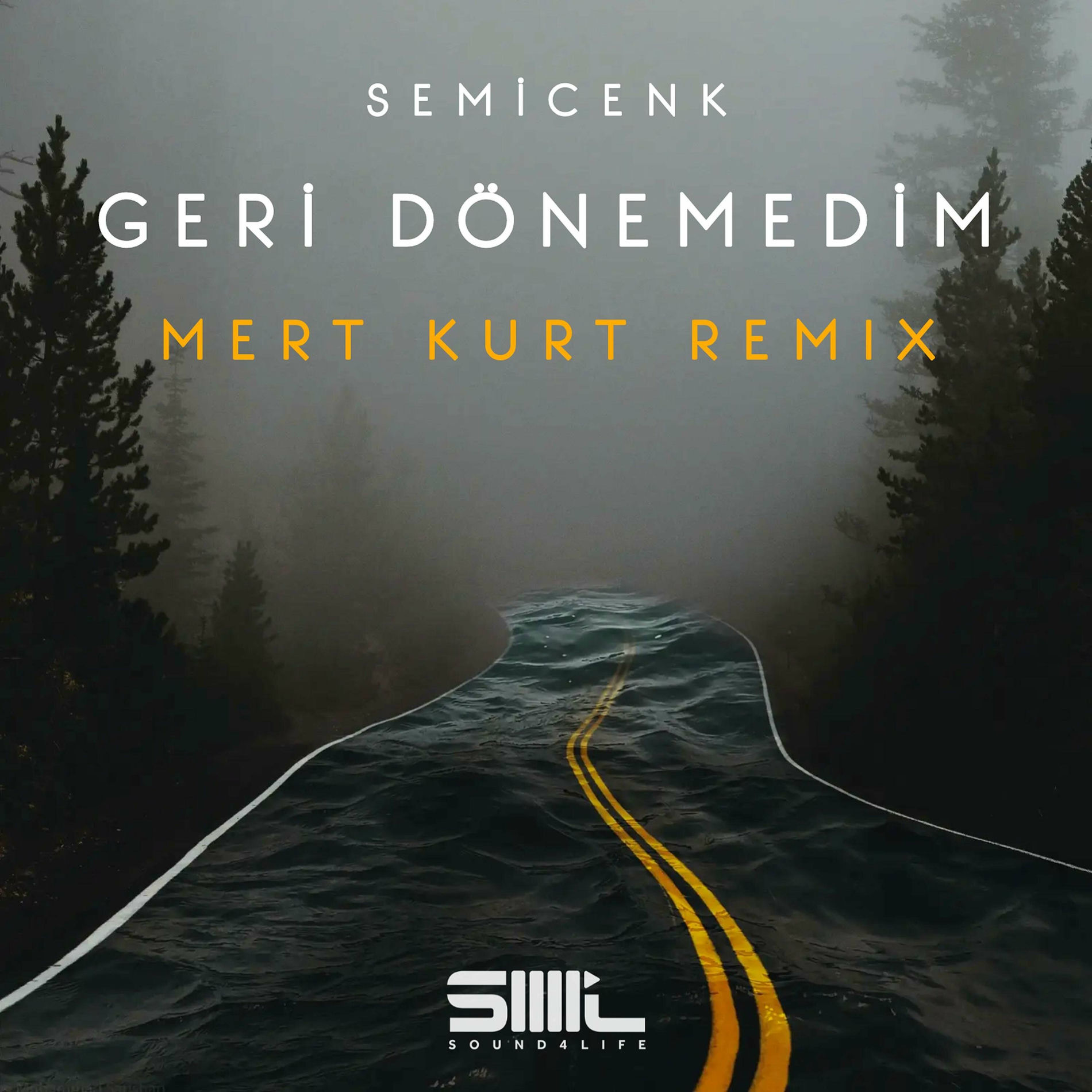Album cover of Geri Dönemedim (Mert Kurt Remix)