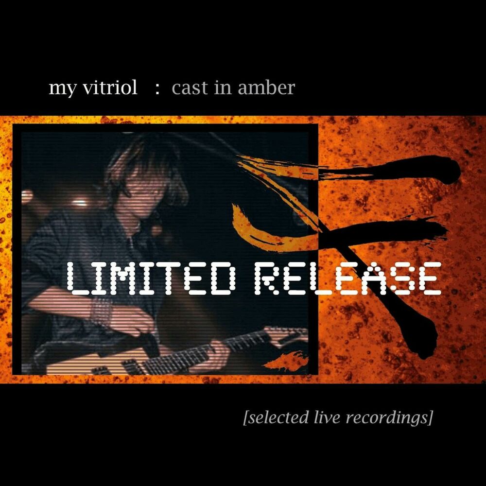 Picture of Cast in Amber