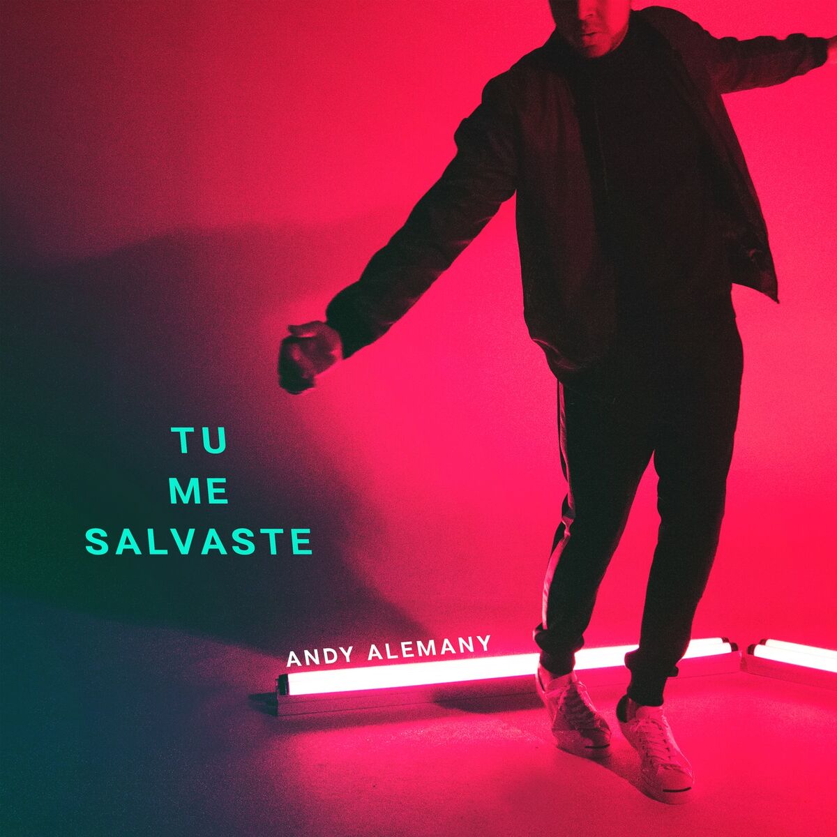 Album cover of Tu Me Salvaste