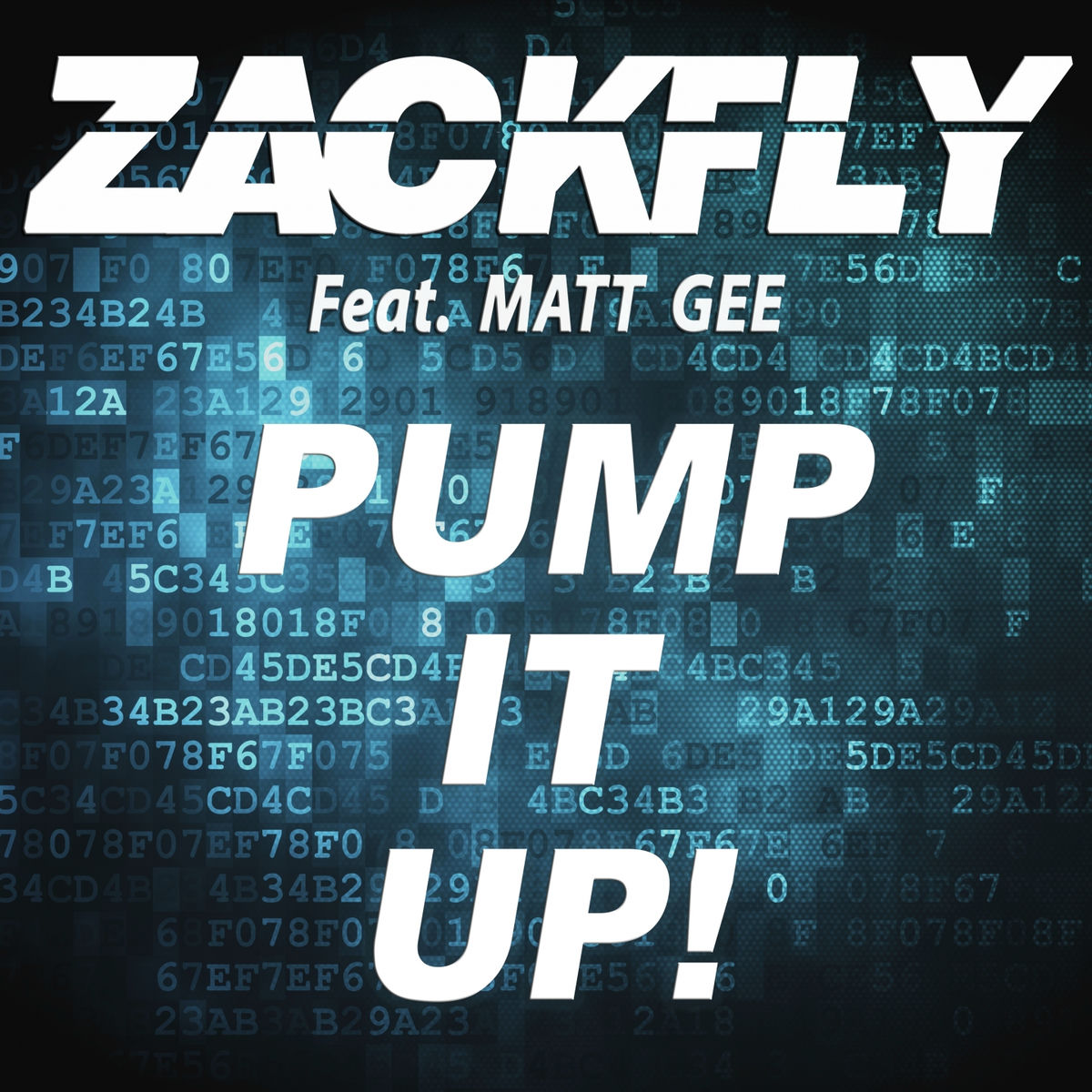 Album cover of Pump It Up!