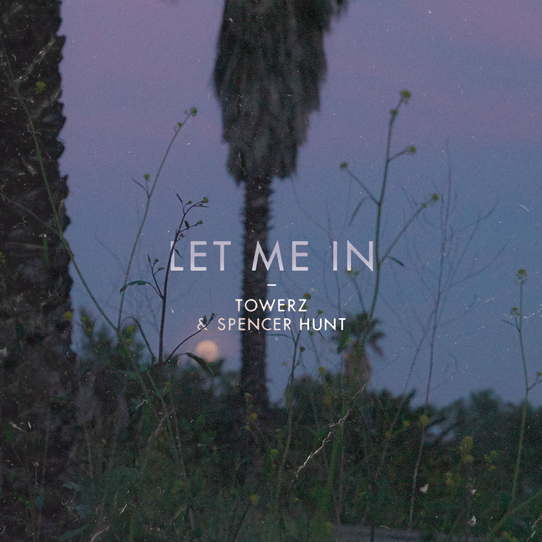 Album cover of let me in