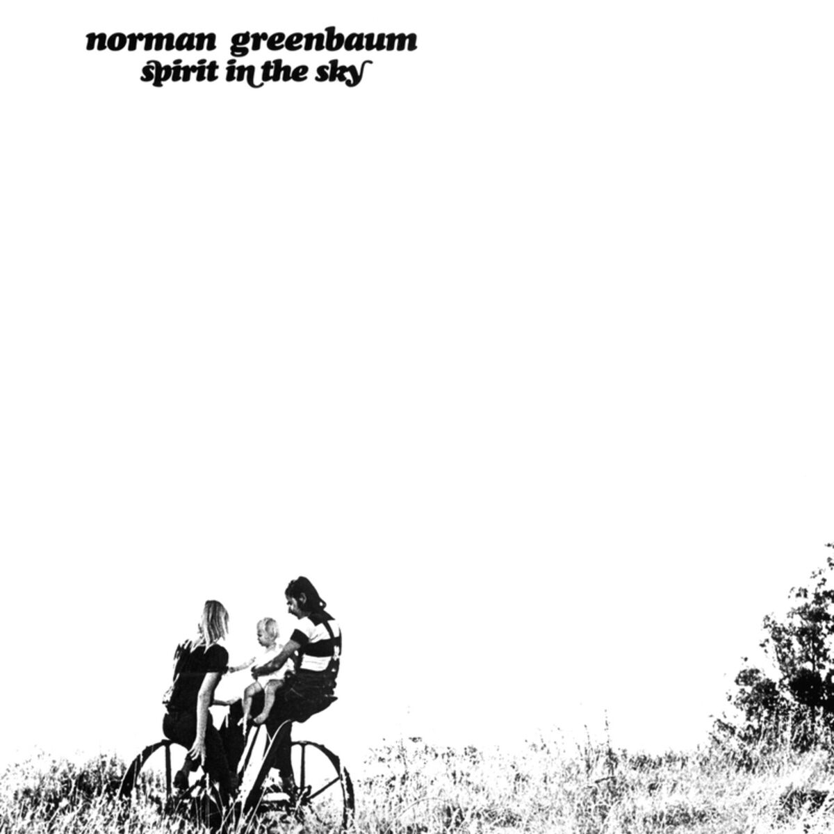 Album cover of Spirit In The Sky