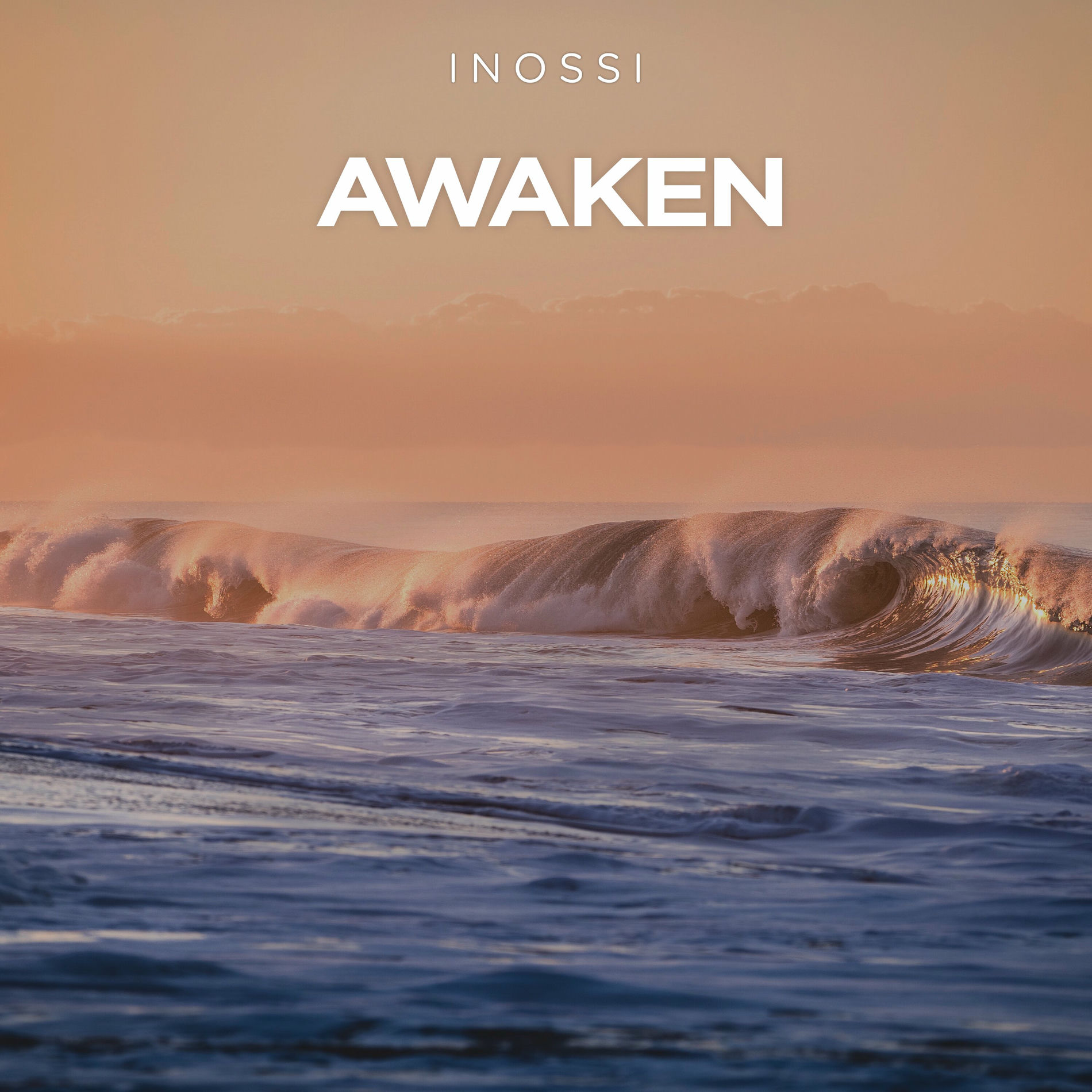 Album cover of Awaken