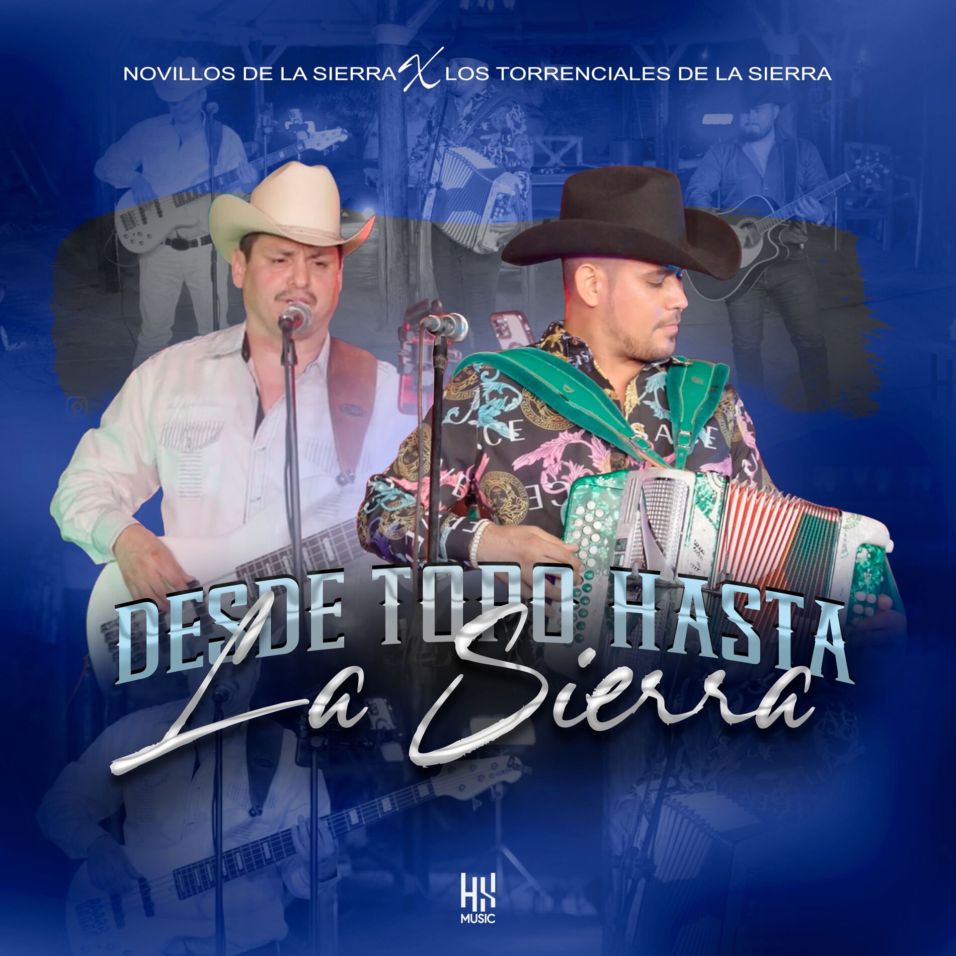 Album cover of Desde Topo Hasta La Sierra