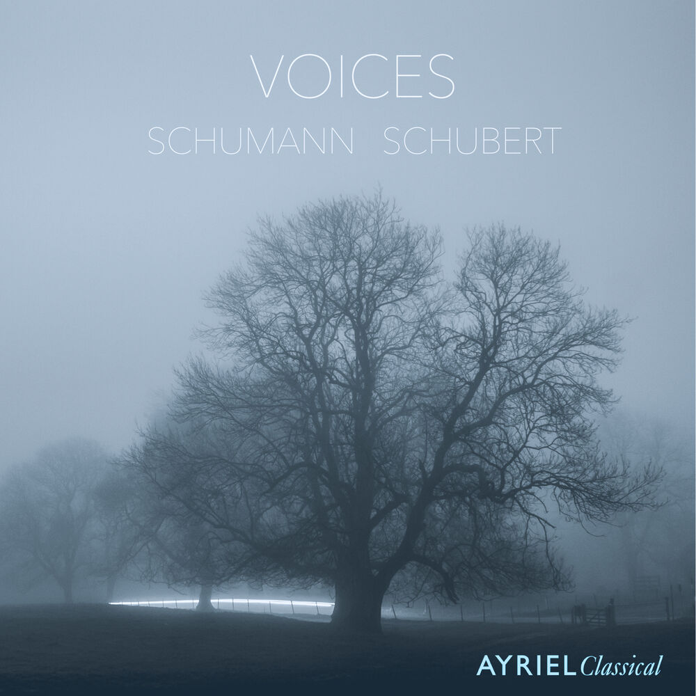 Picture of Voices