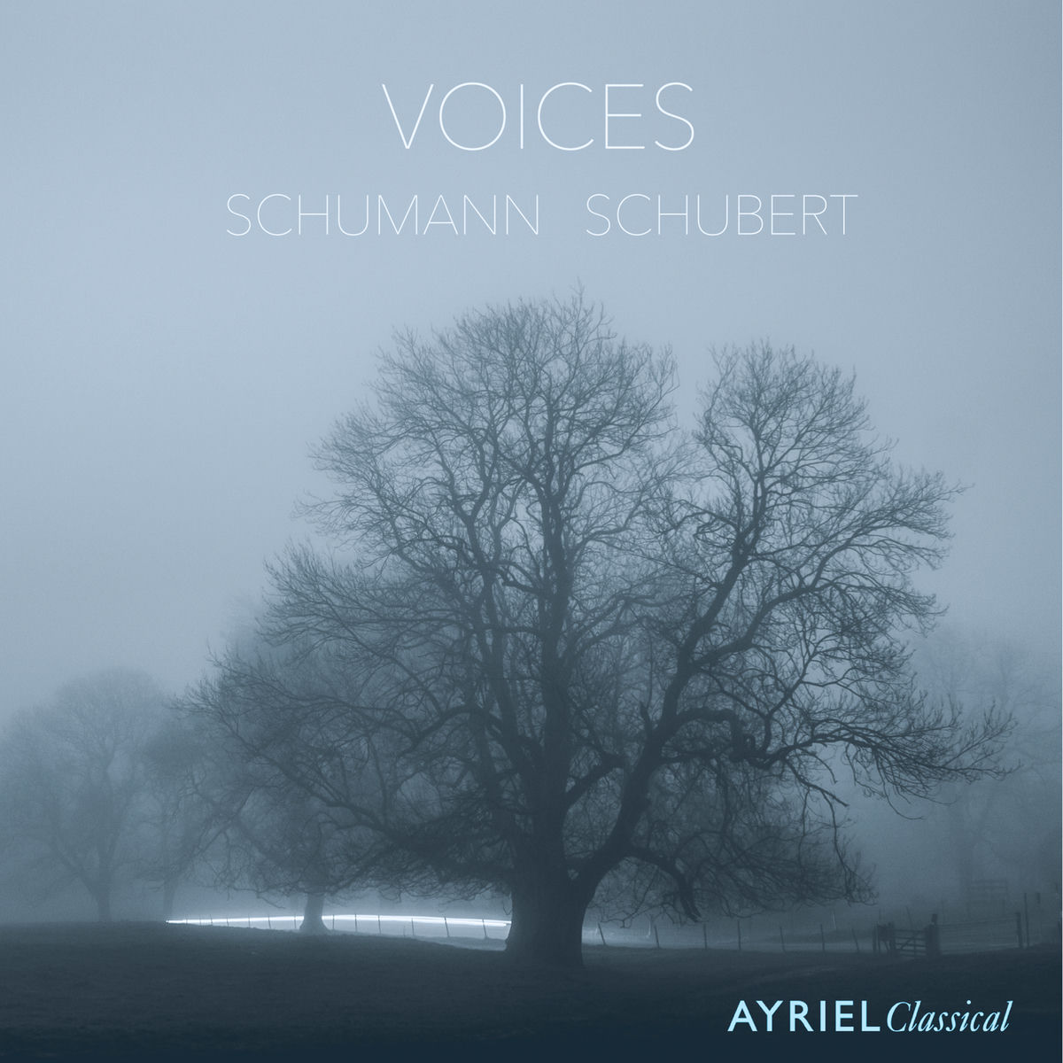 Album cover of Voices