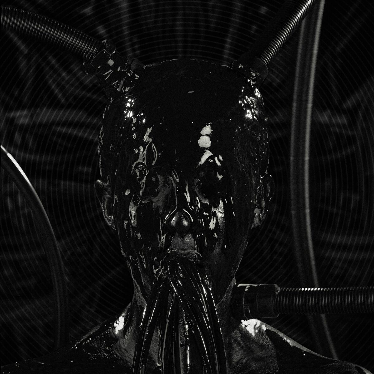 Album cover of F.E.A.R.