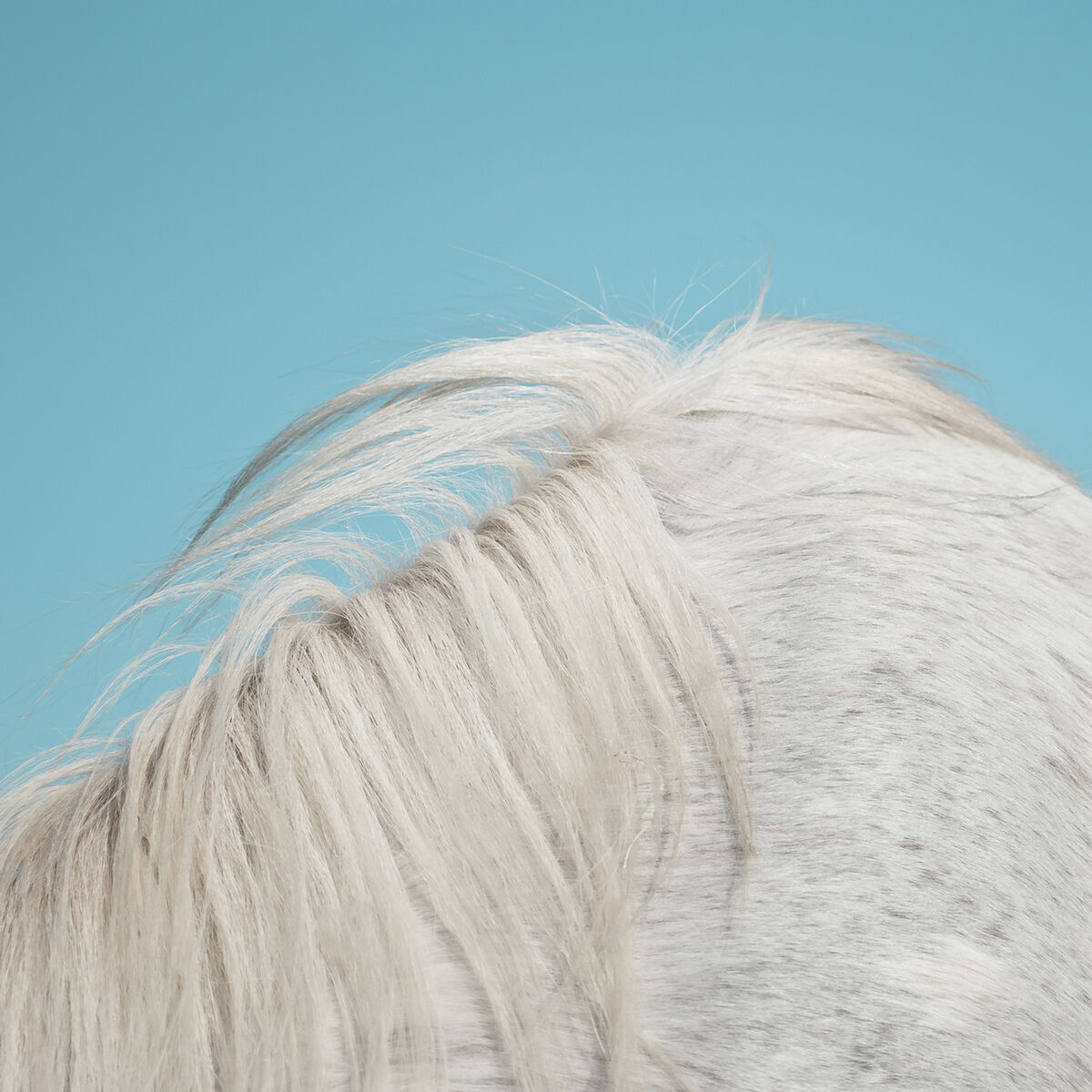 Album cover of All Yours