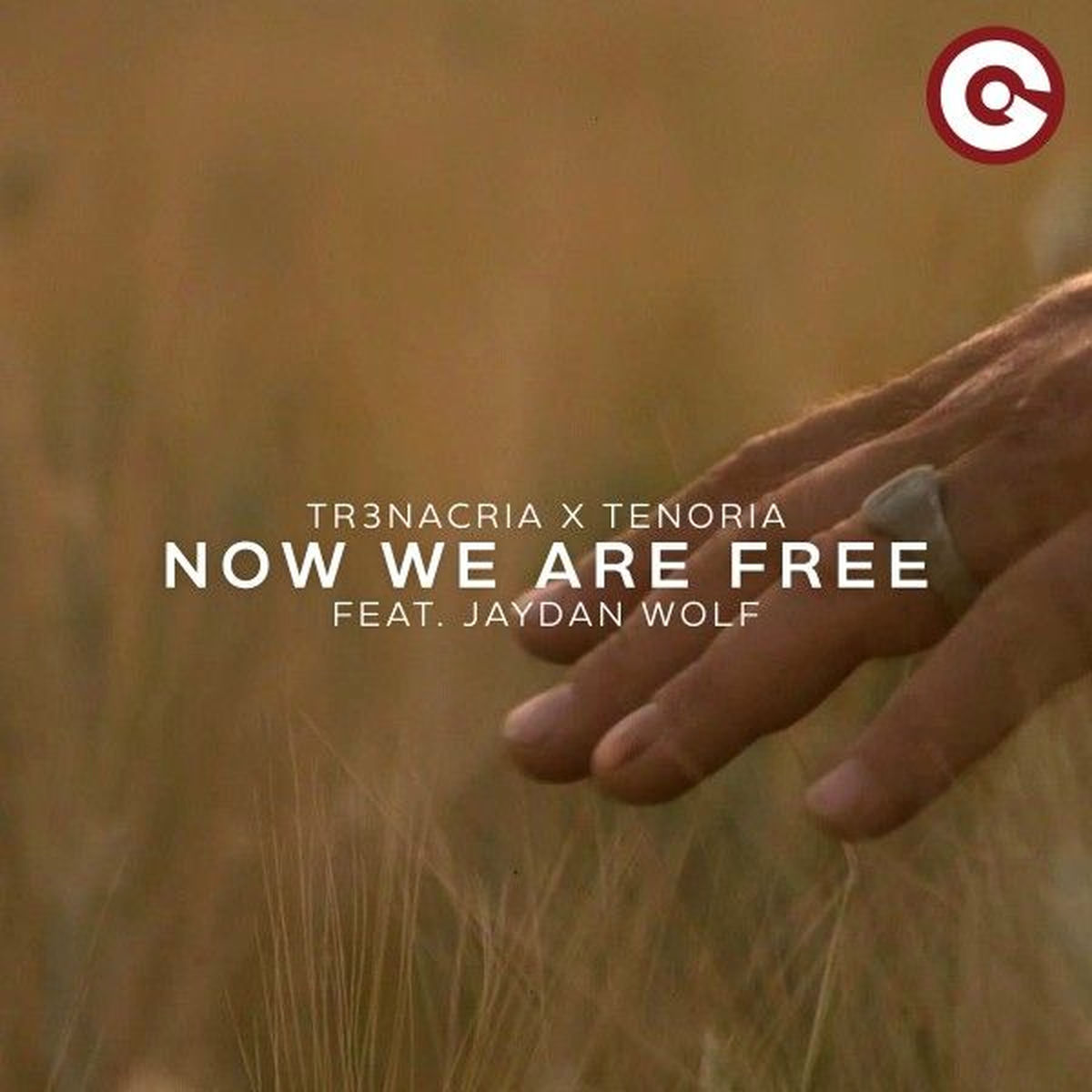Album cover of Now We Are Free