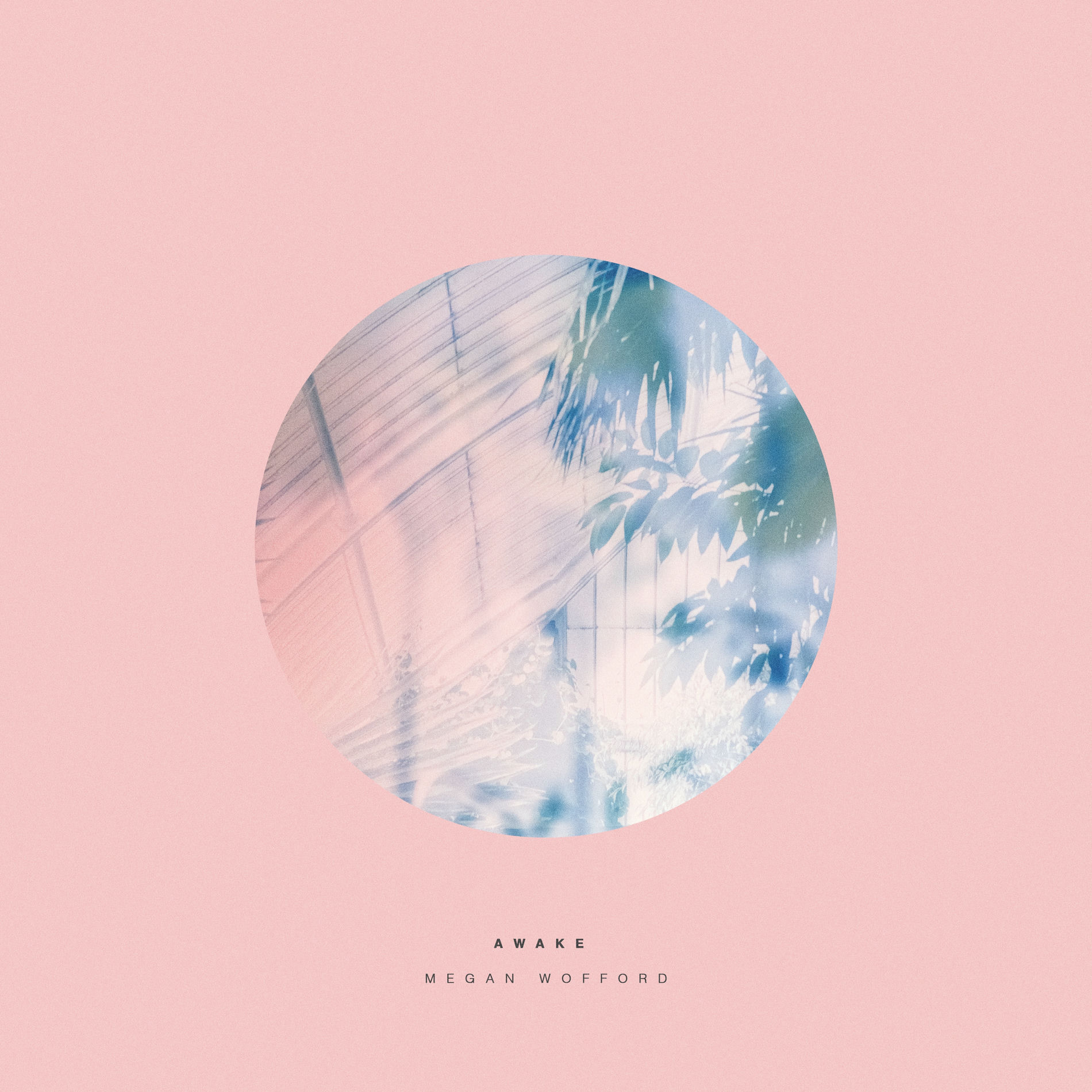 Album cover of Awake