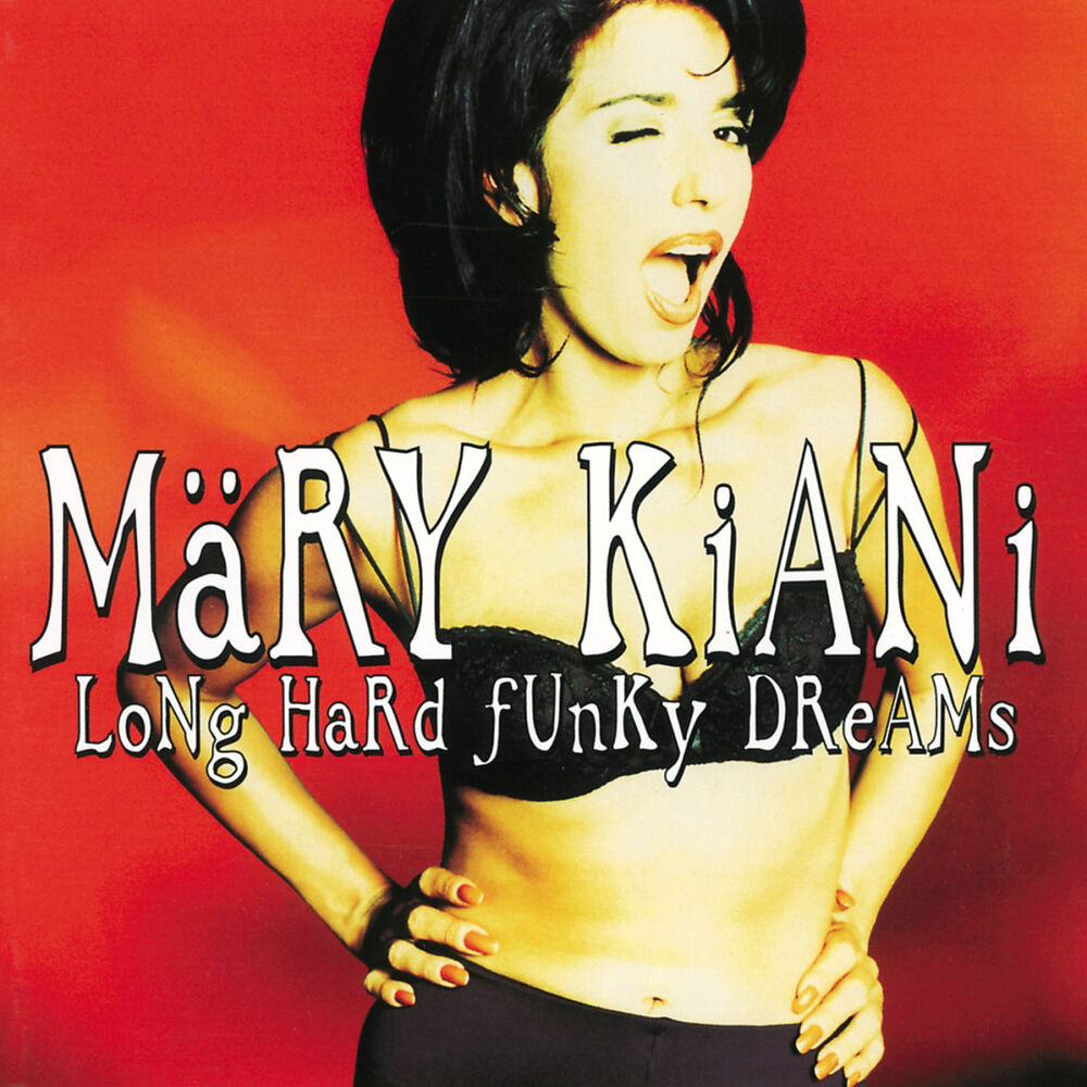Picture of Long Hard Funky Dreams