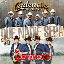 Cover of Que Nadie Sepa