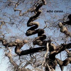 Cover of Who Cares