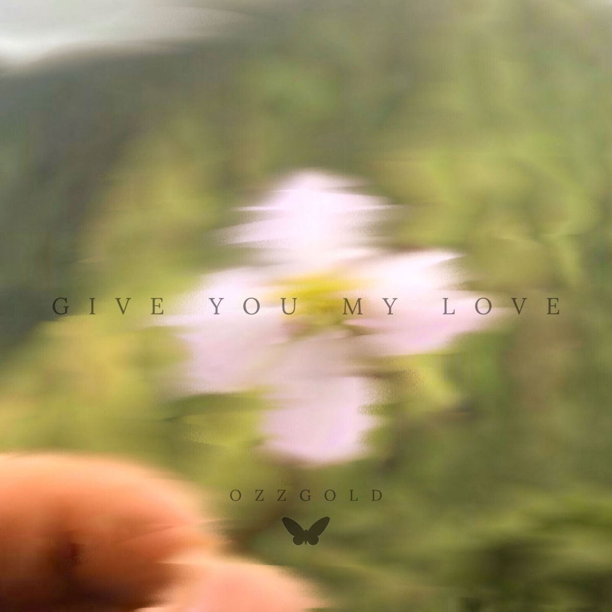 Album cover of Give You My Love