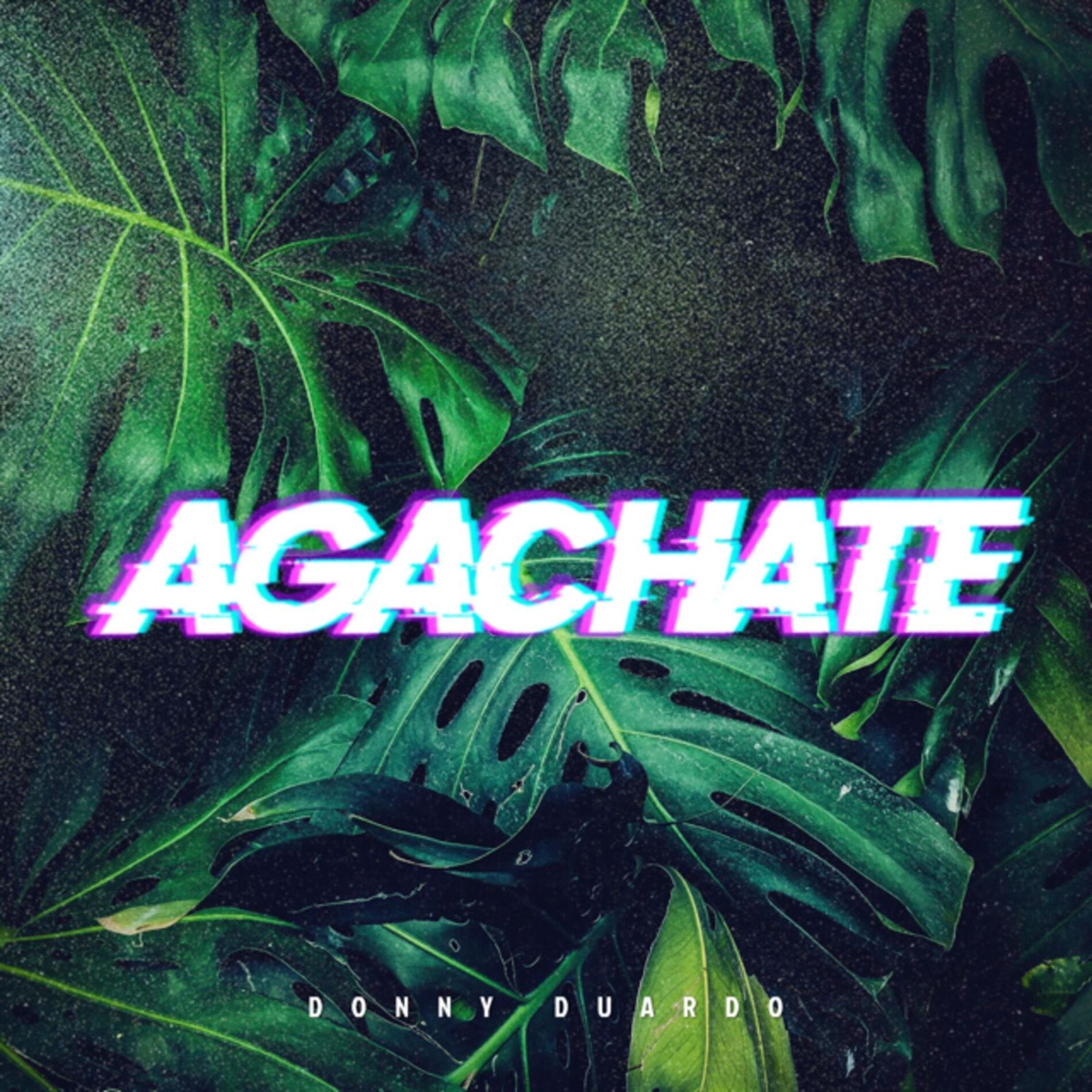 Album cover of Agachate