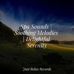 Cover of Spa Sounds | Soothing Melodies | Delightful Serenity