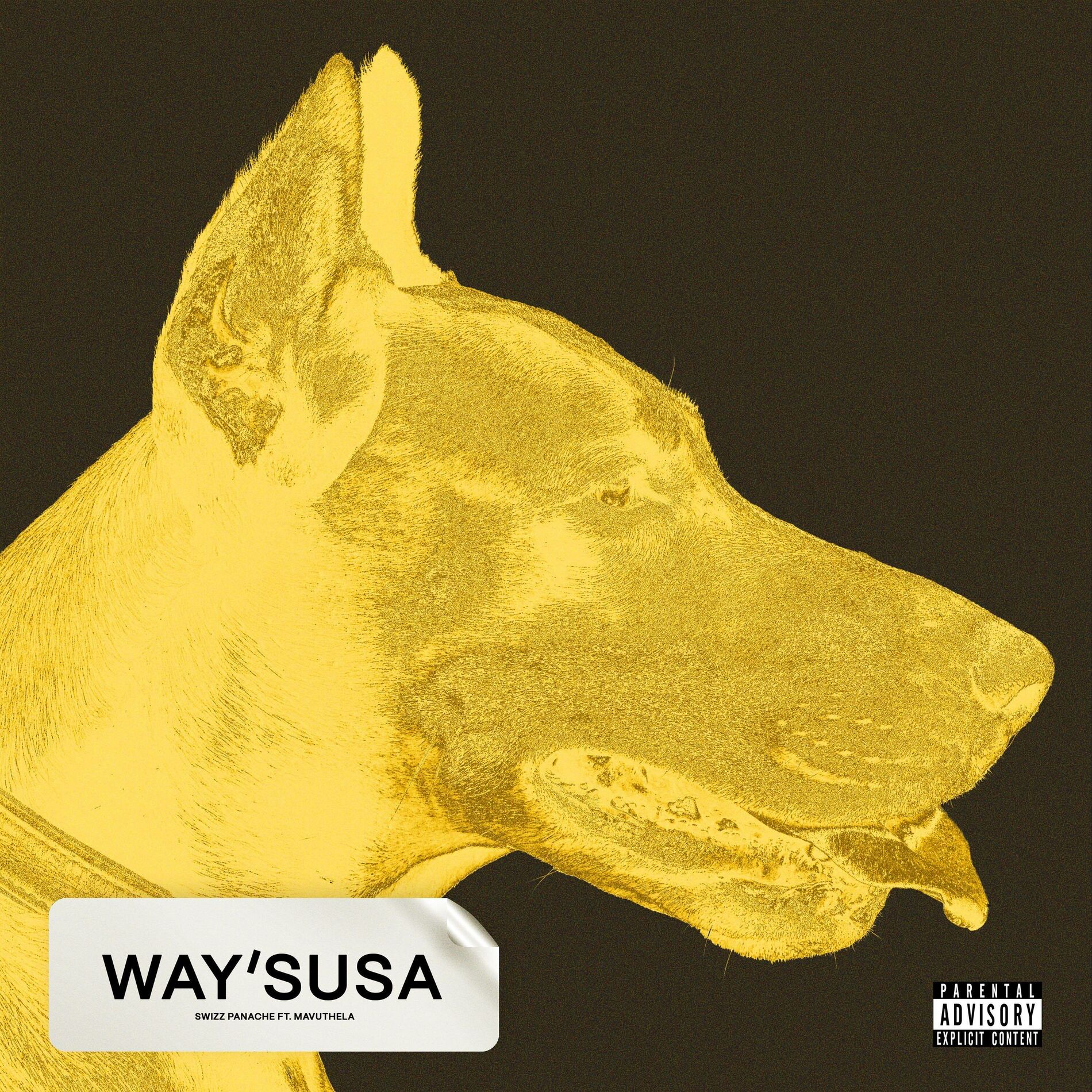 Album cover of Way'susa (feat. Mavuthela)