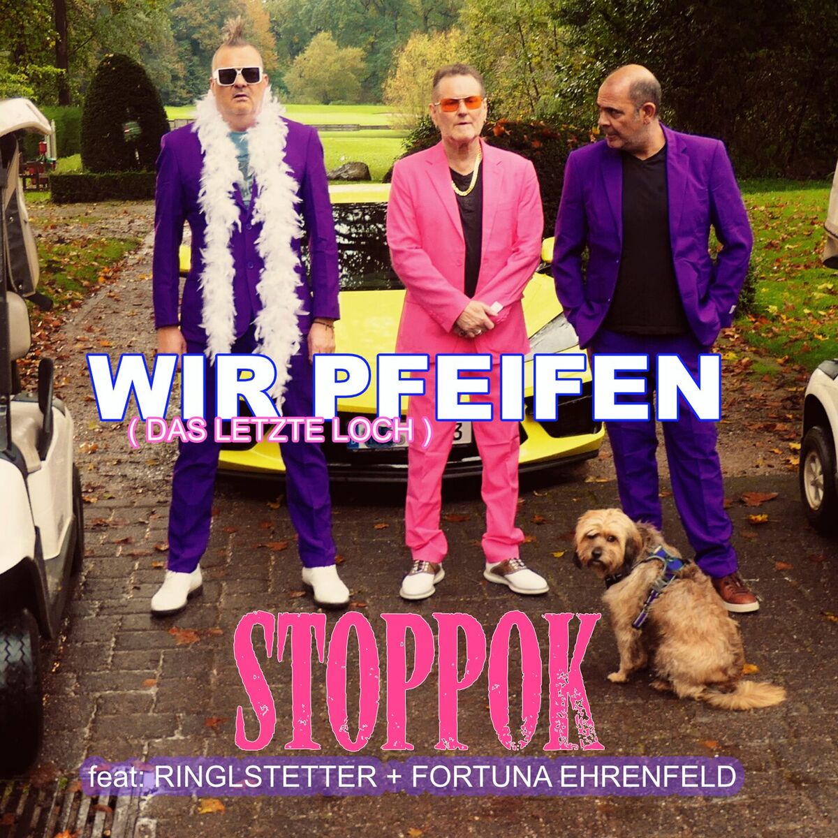 Album cover of Wir pfeifen (Das letzte Loch)